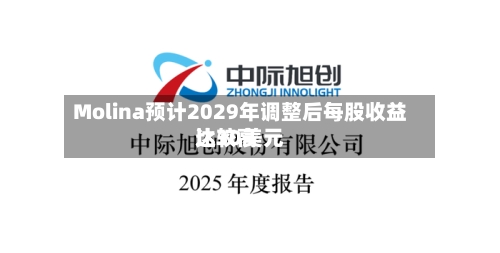 Molina预计2029年调整后每股收益比较高达30美元-第3张图片