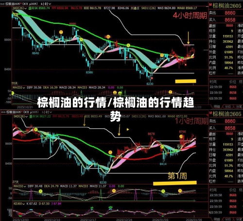 棕榈油的行情/棕榈油的行情趋势-第2张图片