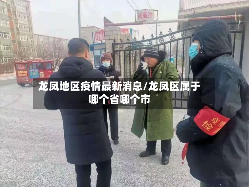 龙凤地区疫情最新消息/龙凤区属于哪个省哪个市-第2张图片