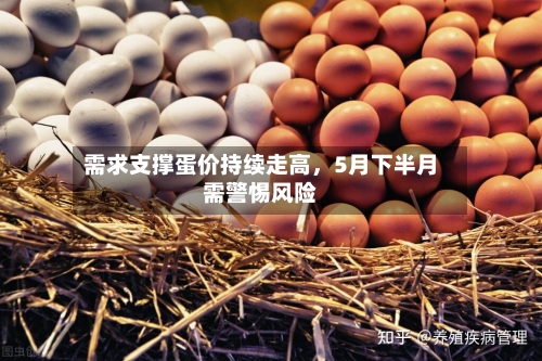 需求支撑蛋价持续走高，5月下半月需警惕风险-第3张图片