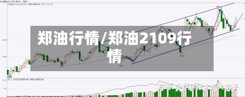 郑油行情/郑油2109行情-第1张图片