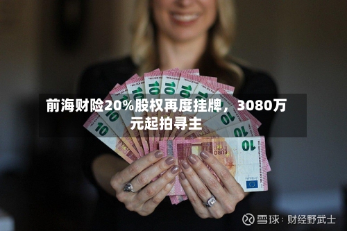 前海财险20%股权再度挂牌	，3080万元起拍寻主-第1张图片