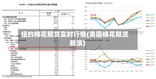 纽约棉花期货实时行情(美国棉花期货 新浪)-第2张图片