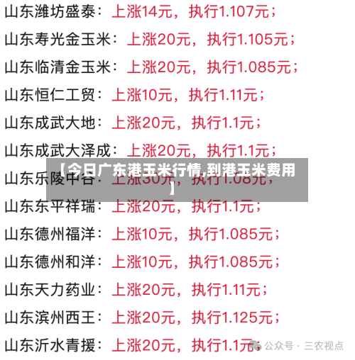【今日广东港玉米行情,到港玉米费用】-第1张图片