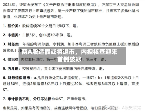 两A股造假或将退市，内控核查迎来首例破冰-第2张图片