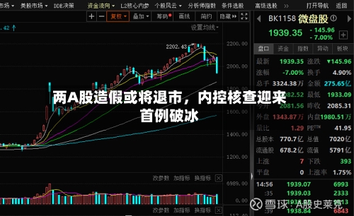 两A股造假或将退市	，内控核查迎来首例破冰-第1张图片