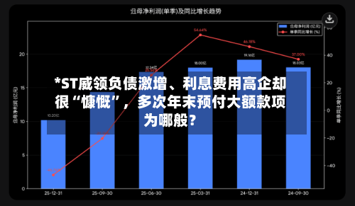 *ST威领负债激增、利息费用高企却很“慷慨	”	，多次年末预付大额款项为哪般？-第2张图片