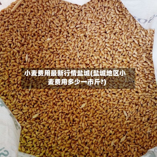 小麦费用最新行情盐城(盐城地区小麦费用多少一市斤?)-第1张图片
