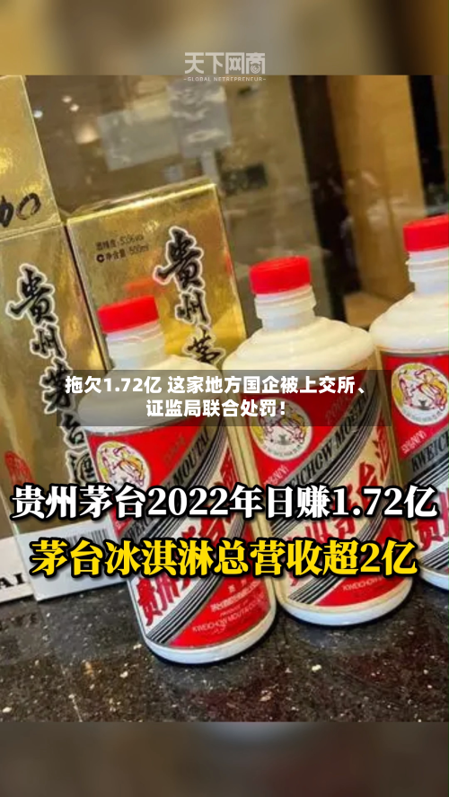 拖欠1.72亿 这家地方国企被上交所、证监局联合处罚！-第1张图片