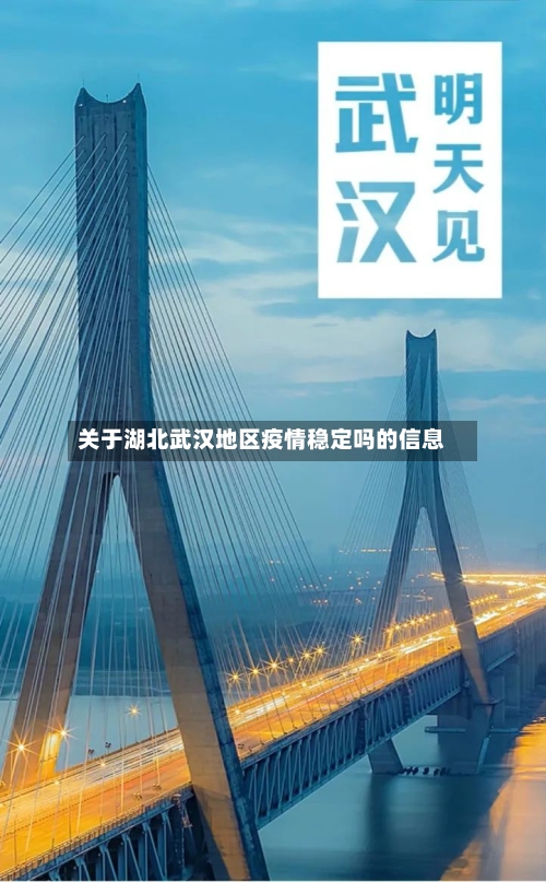 关于湖北武汉地区疫情稳定吗的信息-第2张图片