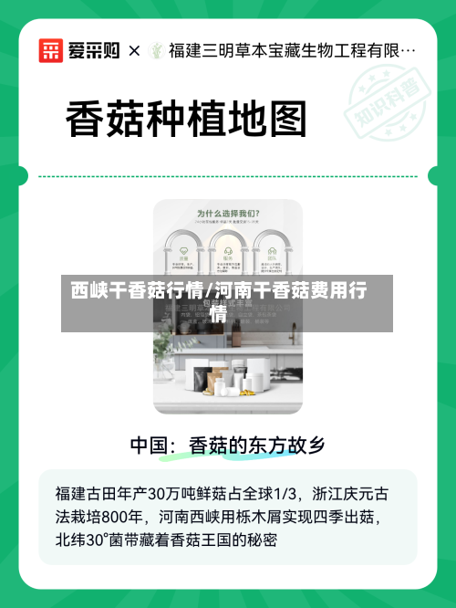 西峡干香菇行情/河南干香菇费用行情-第2张图片