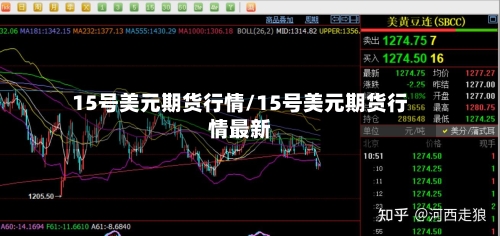 15号美元期货行情/15号美元期货行情最新-第1张图片