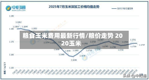 粮食玉米费用最新行情/粮价走势 2020玉米-第3张图片