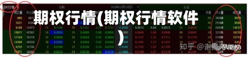期权行情(期权行情软件)-第2张图片