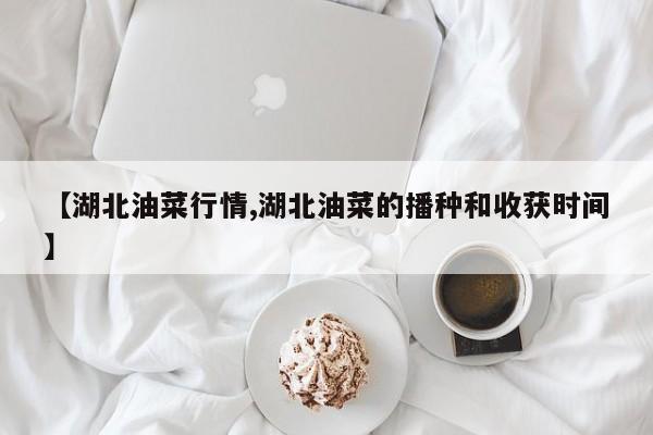 【湖北油菜行情,湖北油菜的播种和收获时间】
