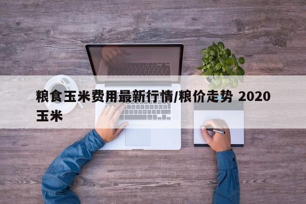 粮食玉米费用最新行情/粮价走势 2020玉米